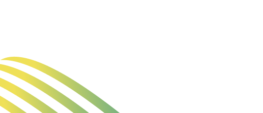 Ignite Growth Strategy